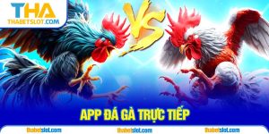 app đá gà trực tiếp